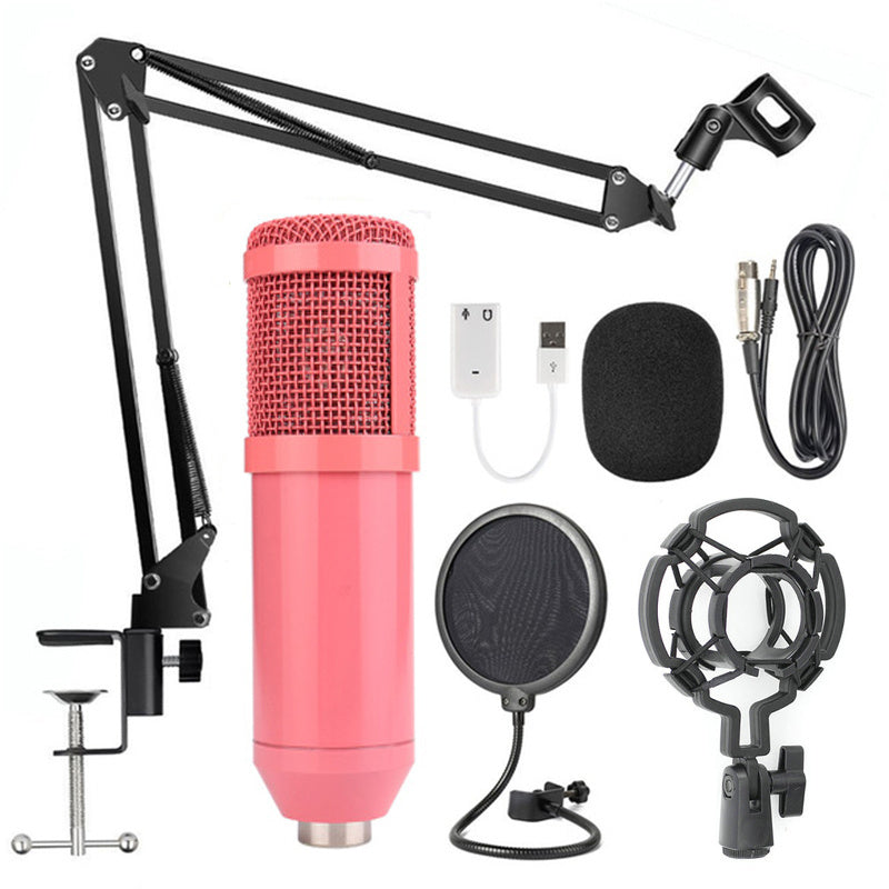 Microphone Kit with Screen