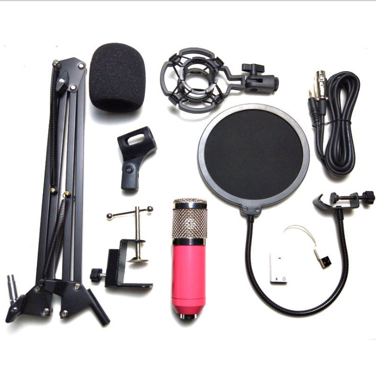 Microphone Kit with Screen